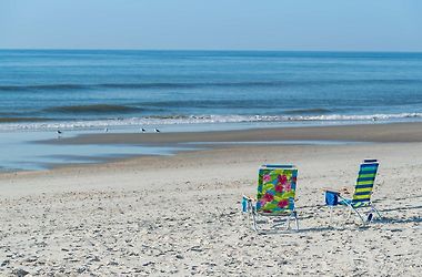 are dogs allowed on ocean isle beach